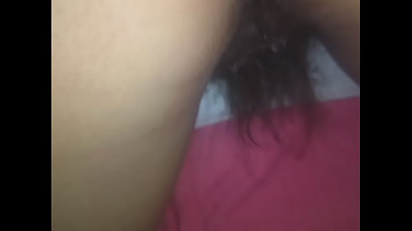 Peluchon peludon