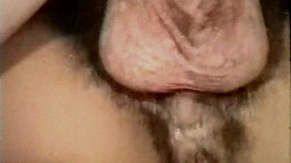 Vintage Interracial Erotica 1970s – Brown Sugar