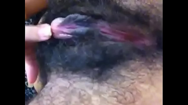 Cabeluda
