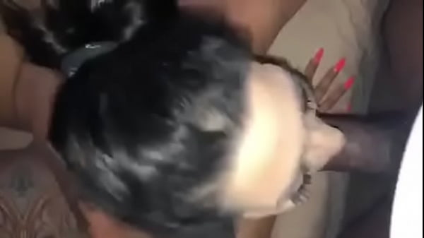 Interracial blowjob pov