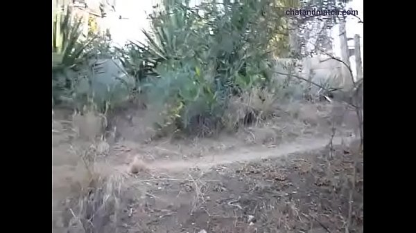 public BJ pickup